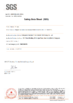 Porcellana Dongguan Youngteam New Material Technology Co., Ltd. Certificazioni